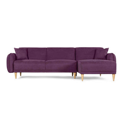 Sala Modular Kubo Morado